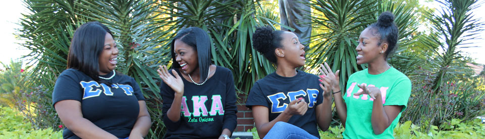 NPHC Sorority members